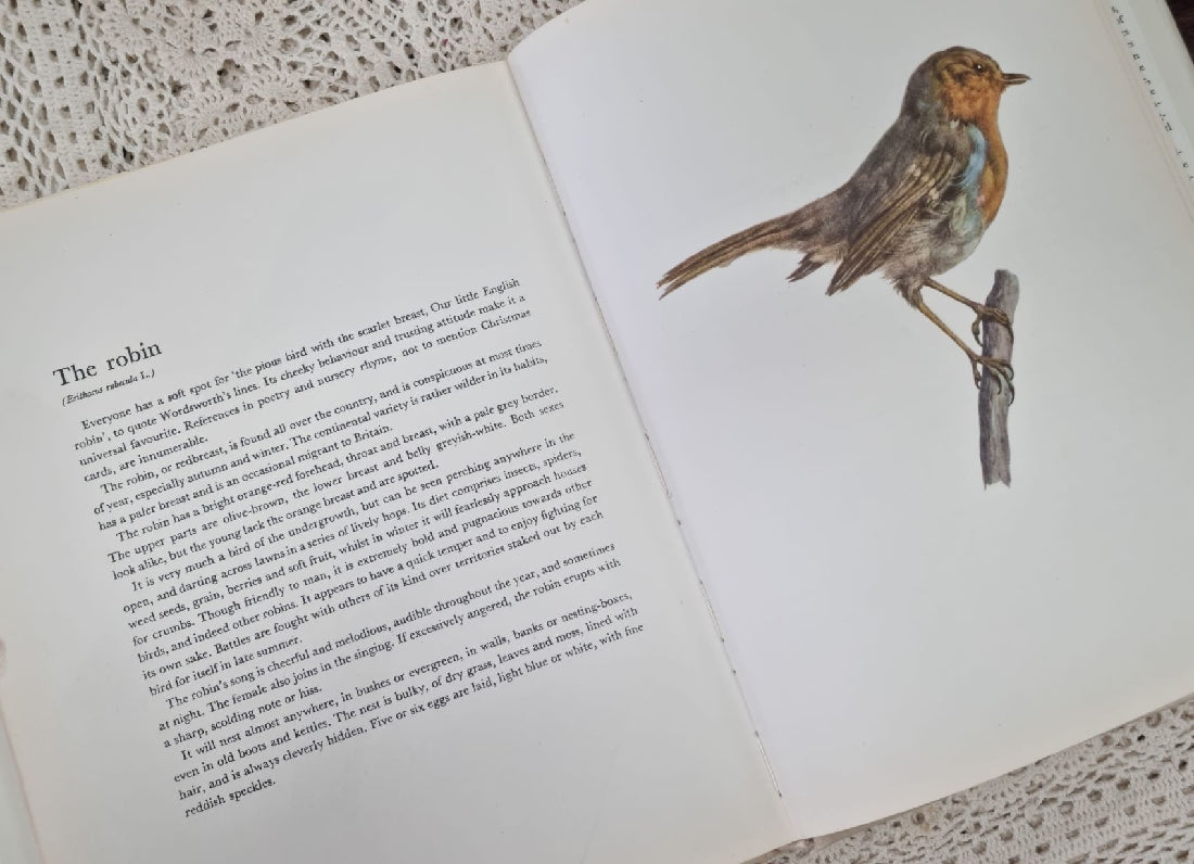 Example of page and plate inside Birds of Field and Forest