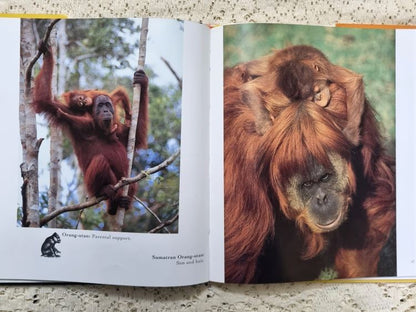 Photo examples from Warm & Fuzzy: the most adorable animal pictures ever