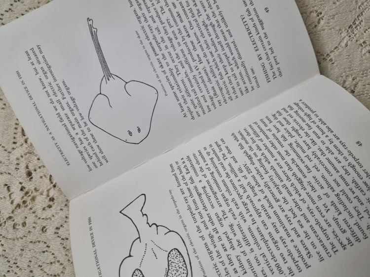 Page example of Animal Migration and Navigation by Philip Street