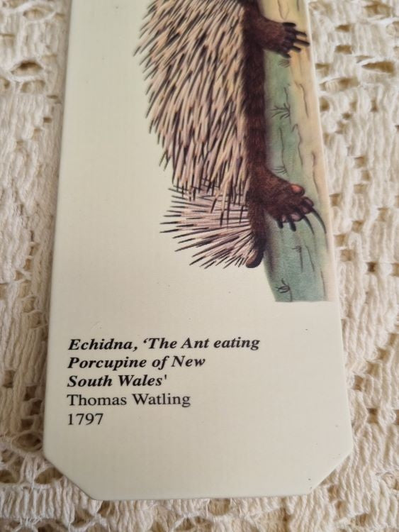 Close-up of graphic  caption on the Bookmark of an Echidna by Thomas Watling