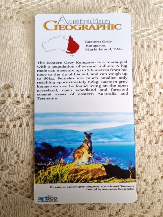 Bookmark: Australian Geographic: 3D Kangaroo