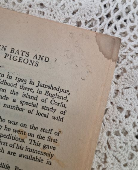 Golden Bats and Pink Pigeons