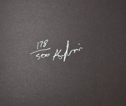 Example of a copy number of Today is to Dance by Ali Nasseri