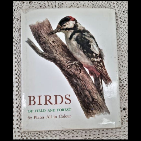 Front cover to Birds of Field and Forest