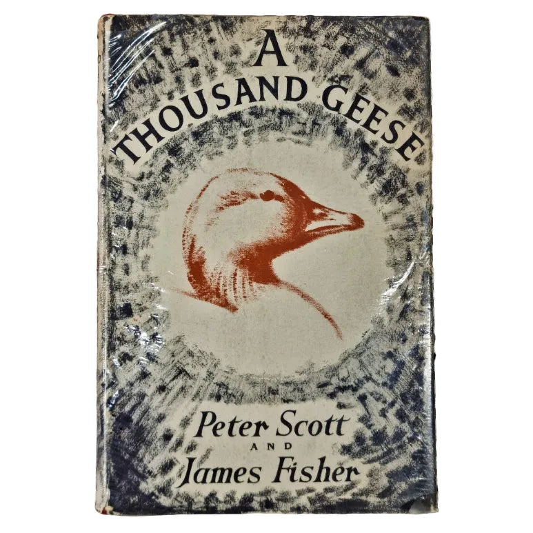 A dust jacket cover of a book titled 'THOUSAND GEESE' by Peter Scott. The cover features an illustration of a goose and has some wear and tear.