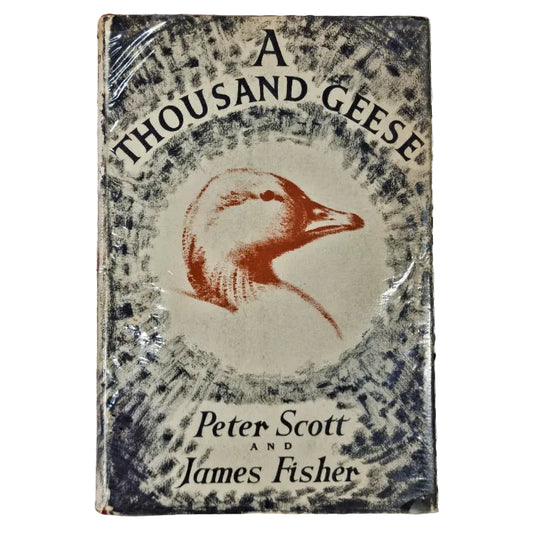 A dust jacket cover of a book titled 'THOUSAND GEESE' by Peter Scott. The cover features an illustration of a goose and has some wear and tear.