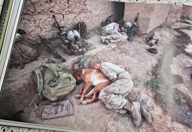 Photographic example from Afghanistan: Australia's War by GARY RAMAGE
