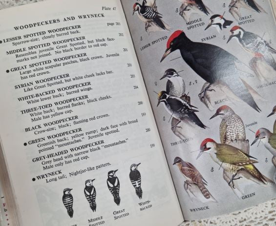 Field Guide To The Birds Of Britain And Europe